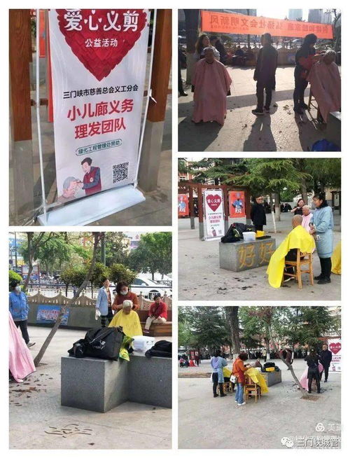 市綠化工程管理處 學黨史辦實事，優化工程管理服務惠民生